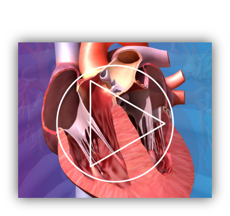 Visual Consult Demo